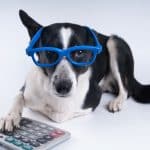 Lillian Turner-Bowman's Under-Utilized Pet Tax Deductions