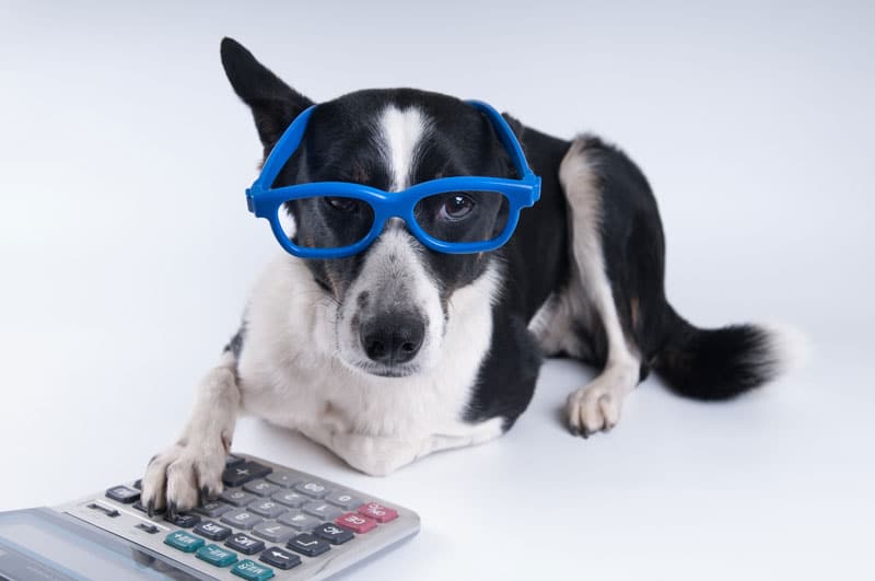 Lillian Turner-Bowman’s Under-Utilized Pet Tax Deductions