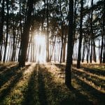 Lillian Turner-Bowman’s Thoughts on Finding Joy In Life